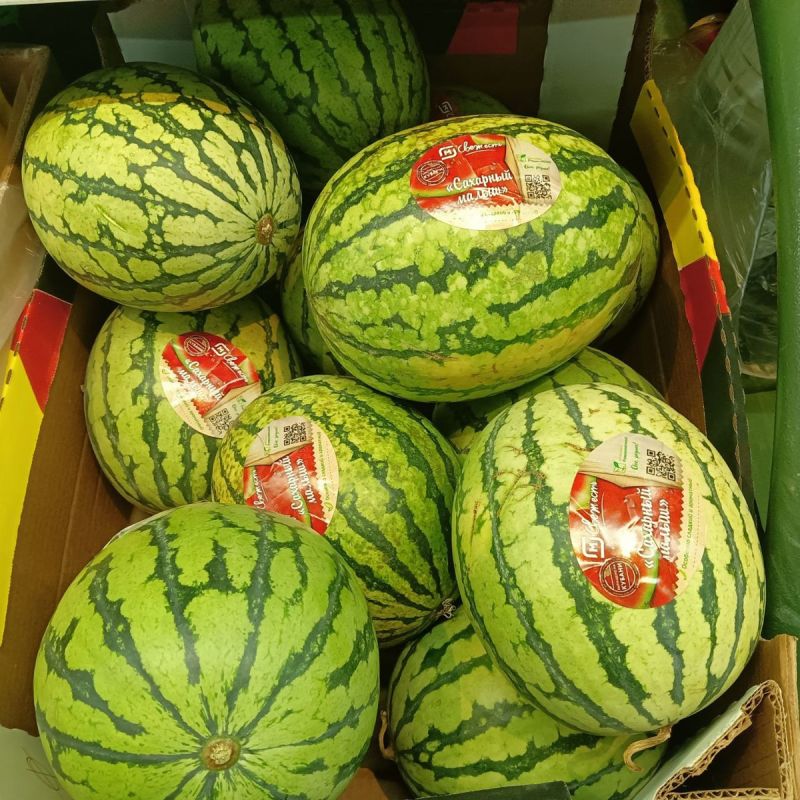 ��� ������� ��������� �����: 7 �������� ��� �������� �����������