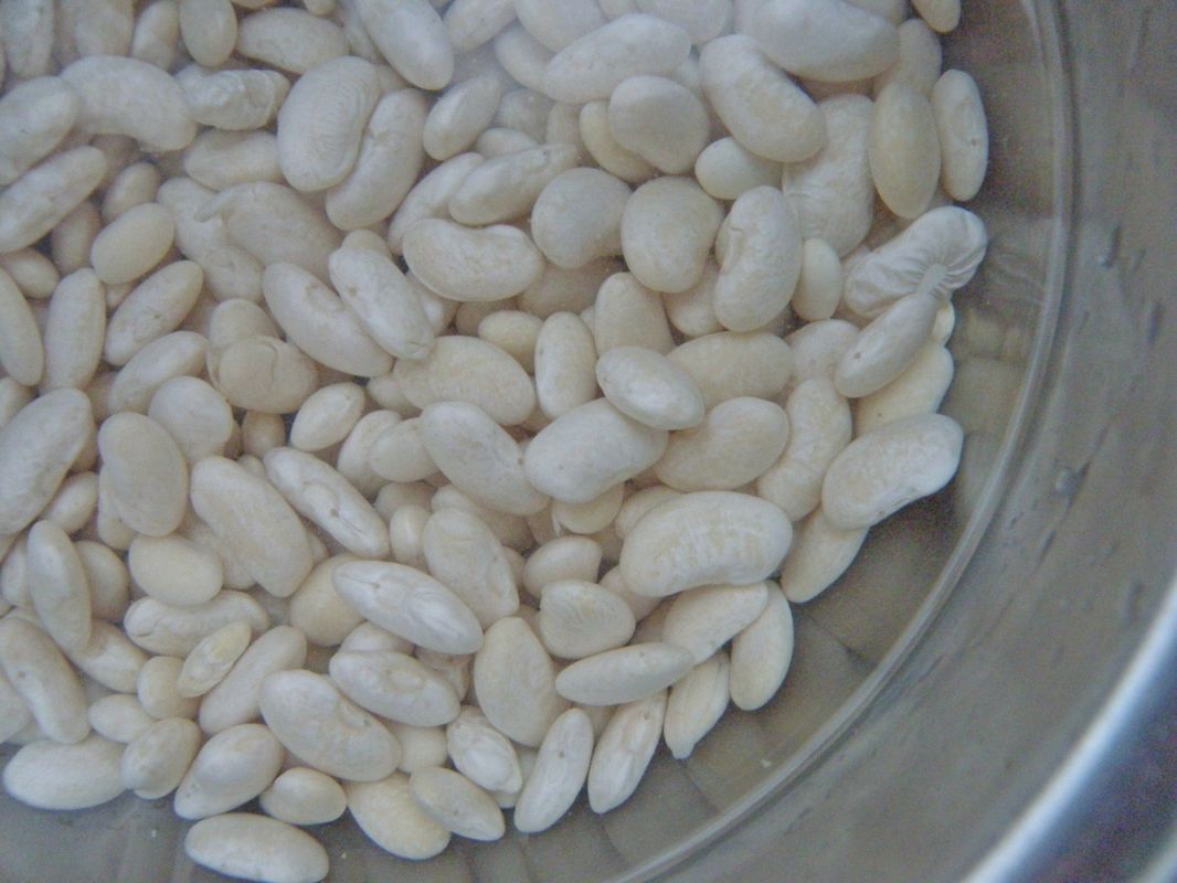 ������ ��������� ��� � �������� �����: ��������� ������ ��� ������ ����