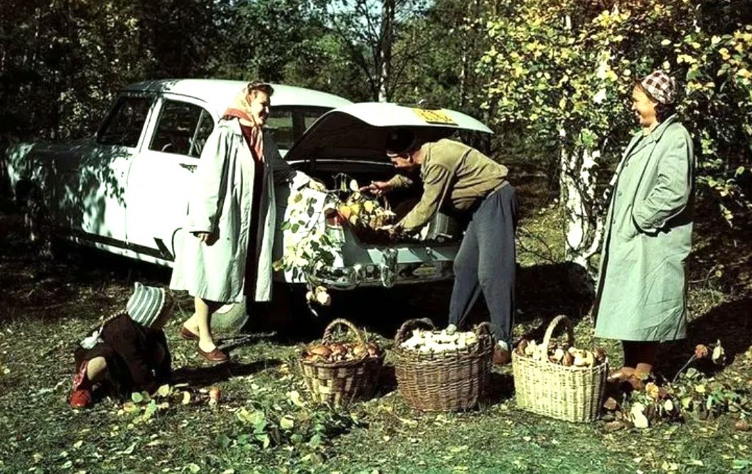 ������� ����� � ����: ������������ � ����� �������