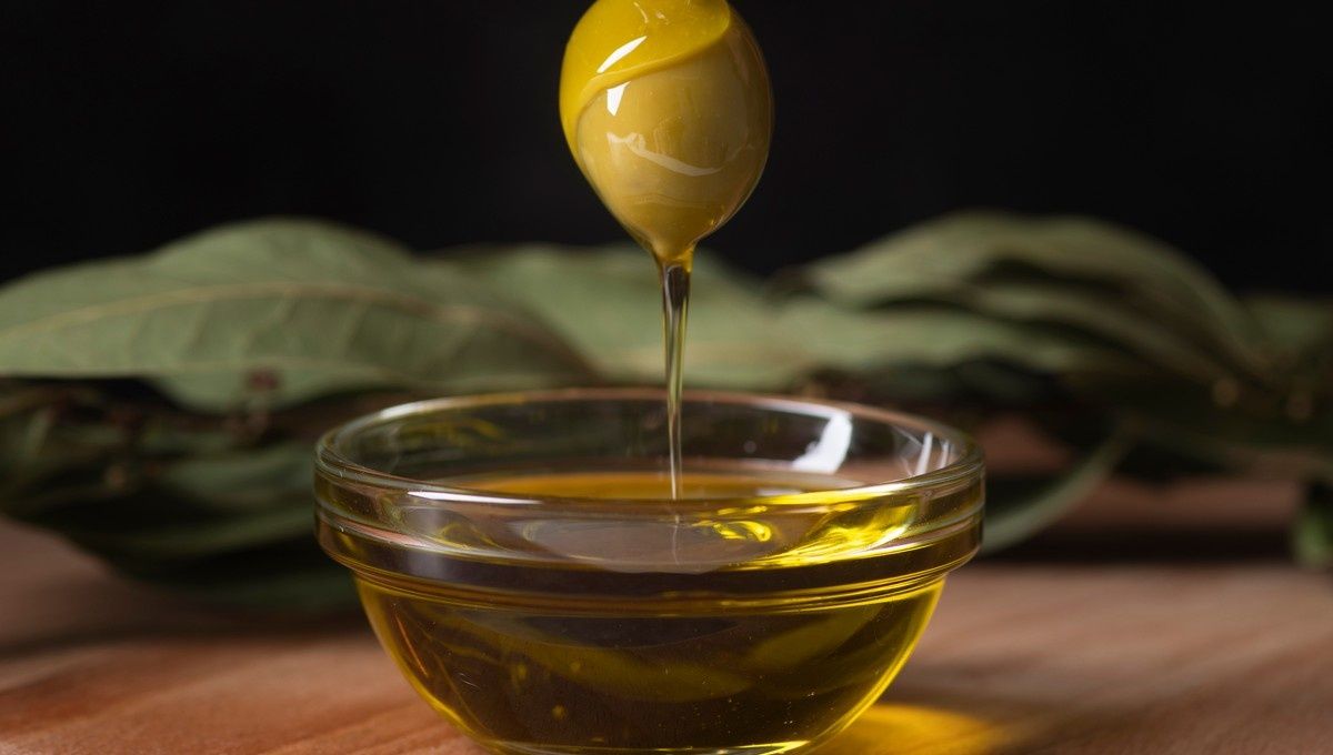 ������������ ���������� �����: ����������� ����������� ���������������� ��������������