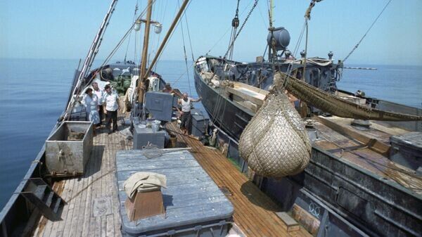 ������ ����: ����������� ������ � ���� � ������� �����