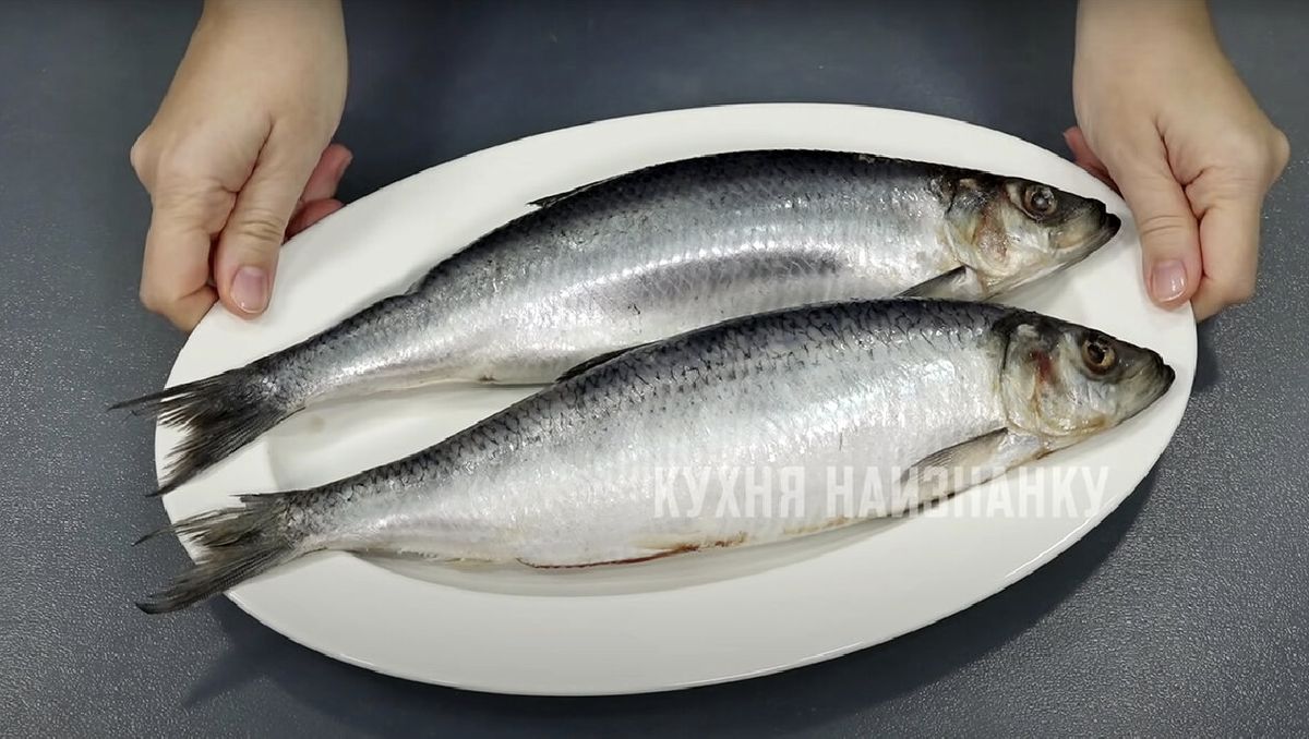 ���������� ������ ������� ������: �������, ������� � �������