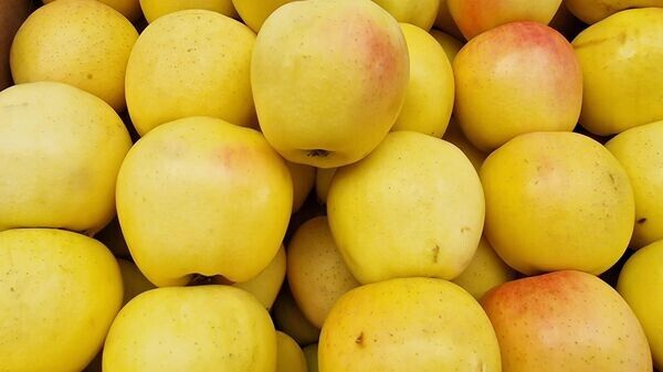 ��������������� ������������� ������� ���������� ��������� ��� �� ����� � ������