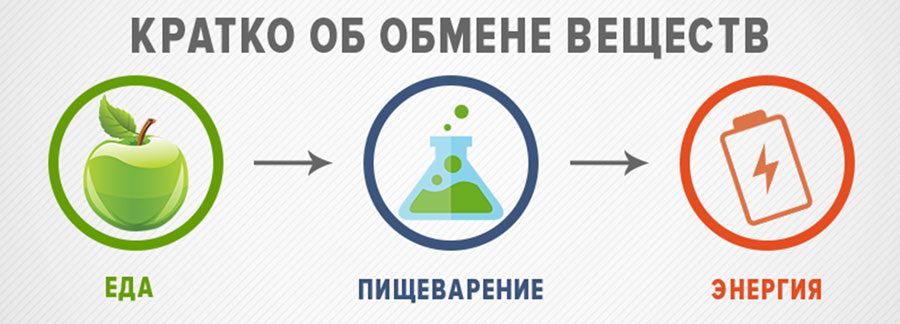 ������ ����� ��� �� ��������� ���������: ������� ������� � �������