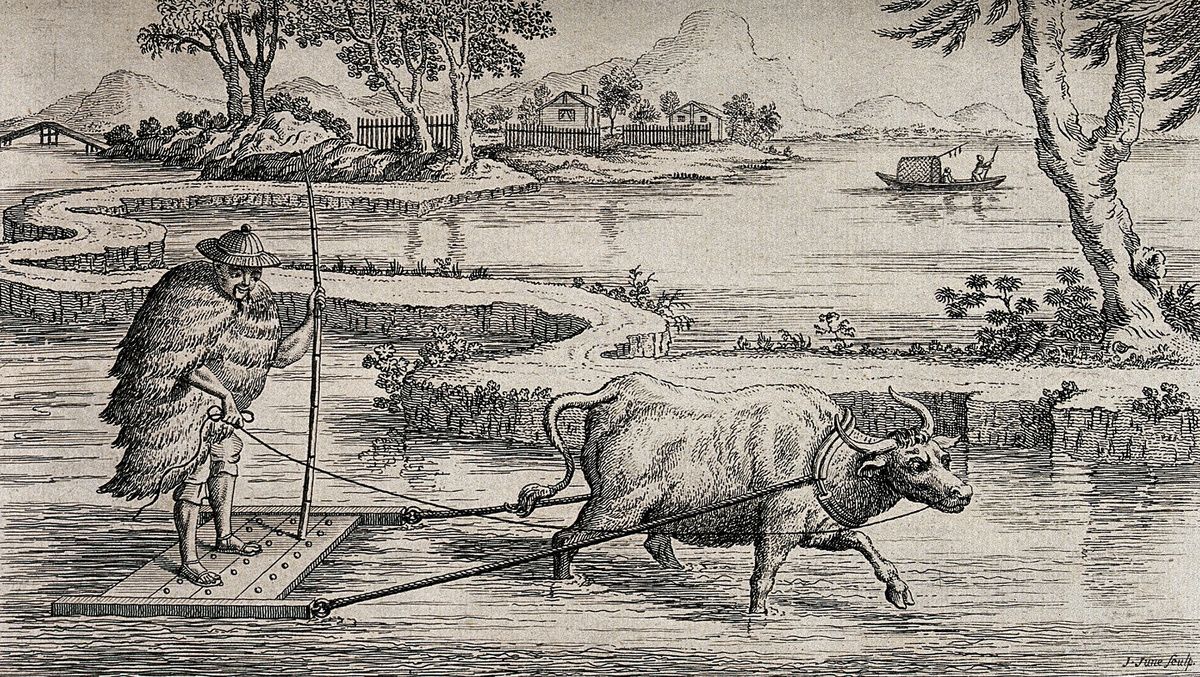 �� ���� �� �������: ��� �� ����� ���� ���������� ���