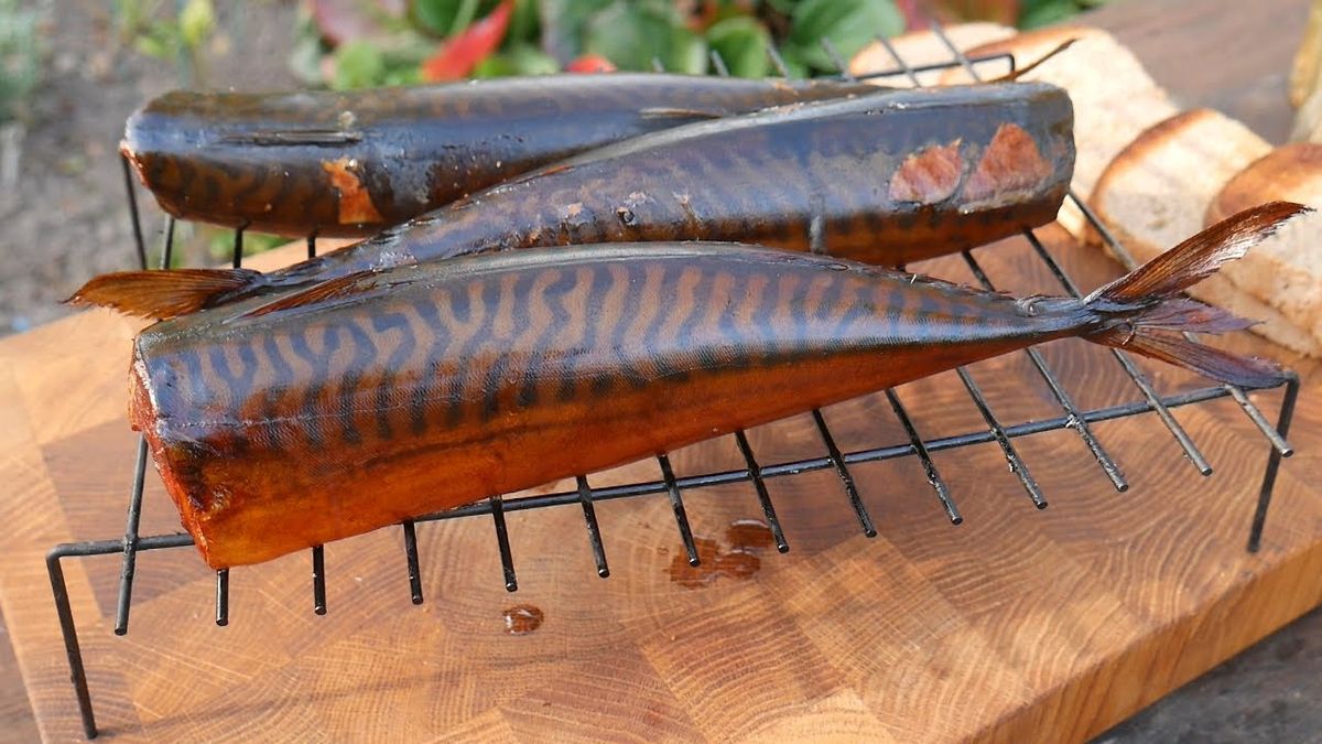 ������� �������� ��������: ��� ������� ������ �� �������� ���������