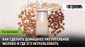 Сделай сам: как приготовить растительное молоко в домашних условиях