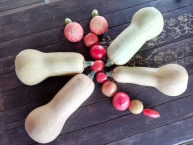 ����������� ���� � �����: �����, ������� �������� ��