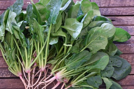 ������: ���� � ������ � ������� �����