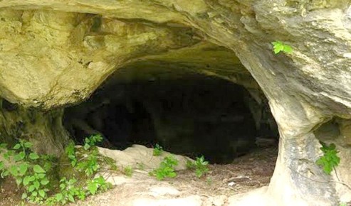 �����������: �������� ����������� � �� �������