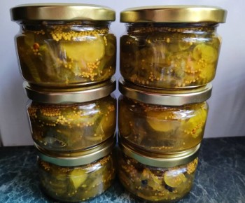 ������ ��� ��������: ��������� ������ ���������� ���������