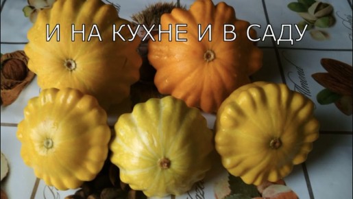 ������������ ���������: ������� �������������
