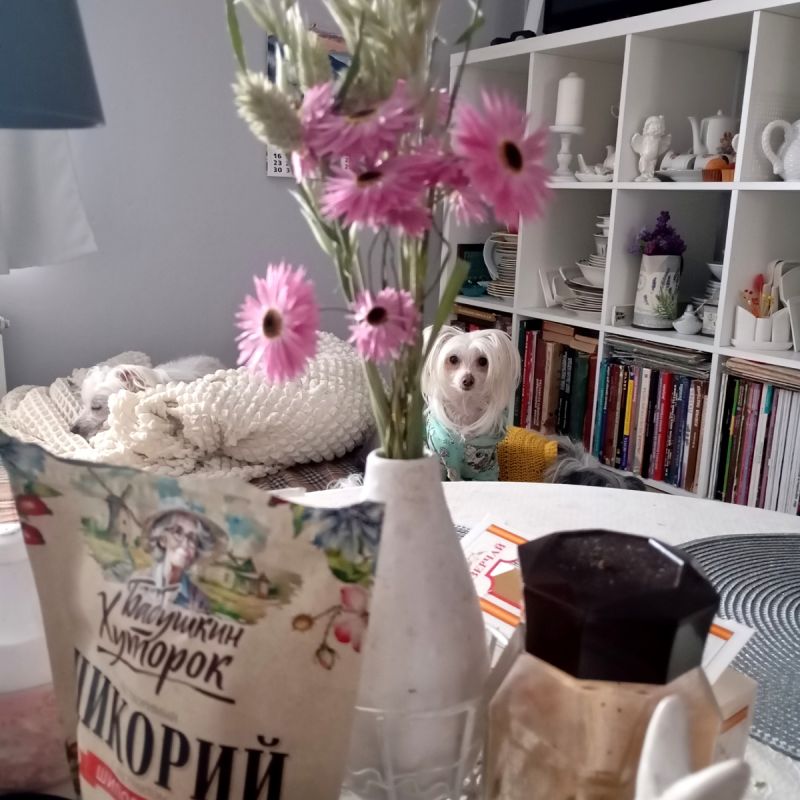 Венские вафли к чаю: быстрые рецепты на каждый день