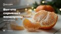 Почему мандарины остаются символом зимних праздников