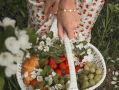 Сезонное питание: путь к здоровью и вкусным открытиям